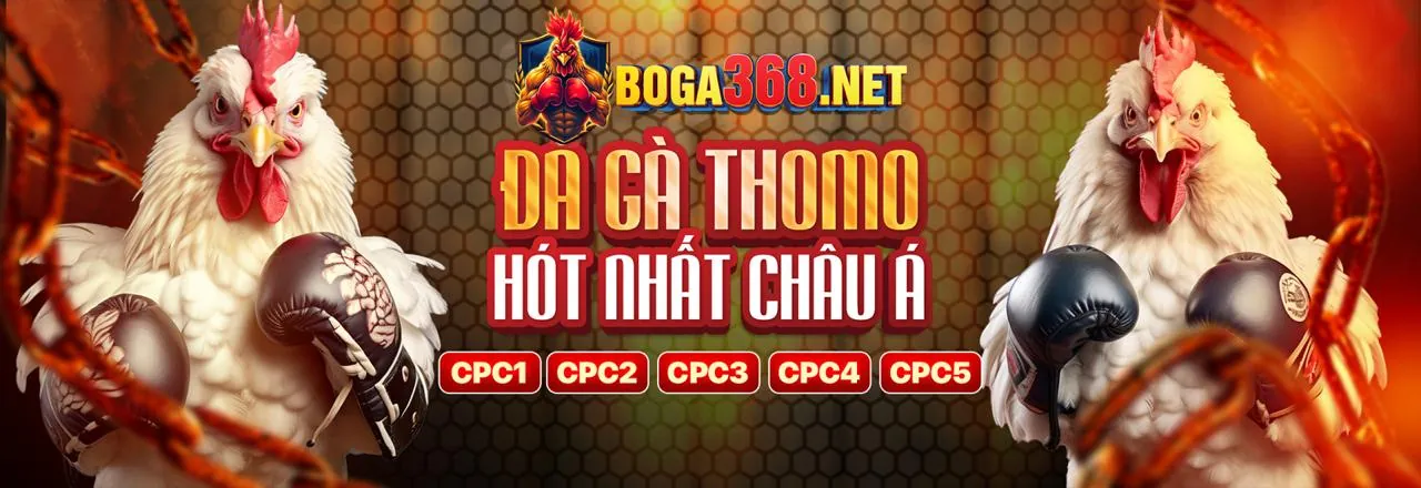 Tổng quan về các chương trình khuyến mãi wstar777